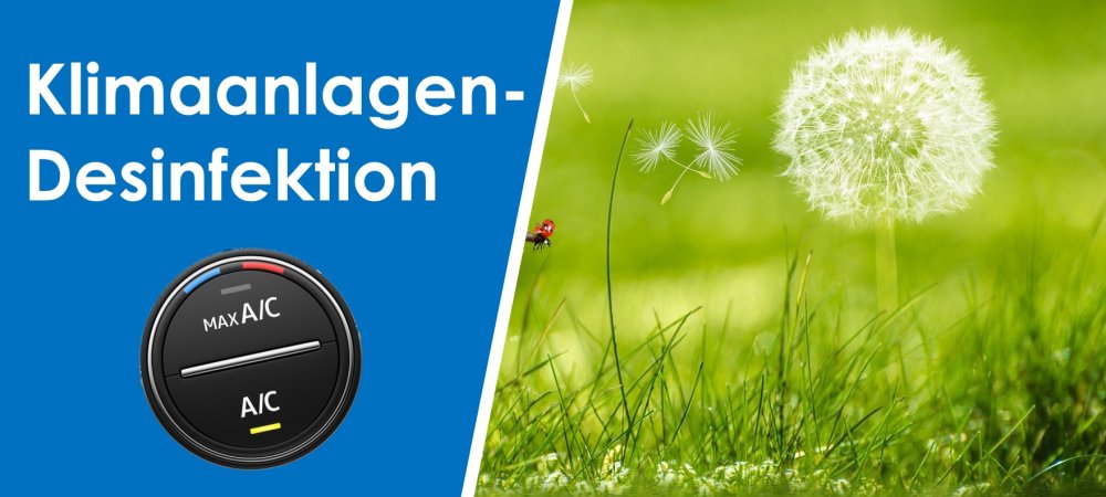 Klimaanlagen-Desinfektion