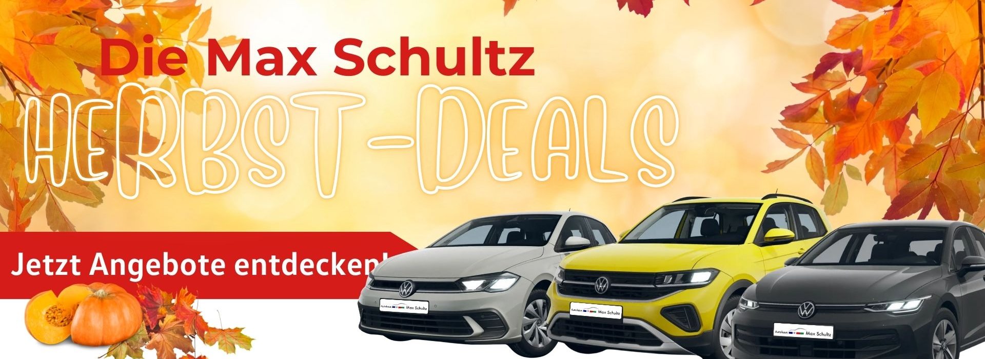 Autohaus Max Schultz GmbH & Co. KG